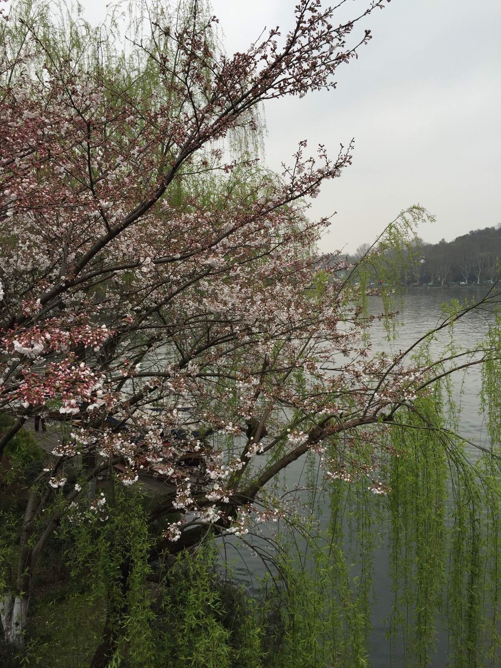 2015年3月27日到30日杭州乌镇之旅