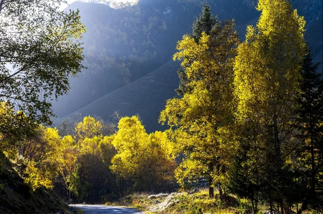 百里画廊,摄影师镜头下美翻了的祁连山秋景