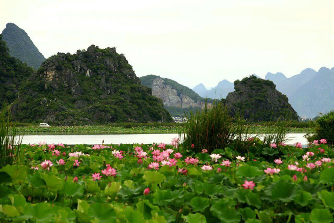 三生三世十里桃花-拍摄地普者黑旅游攻略