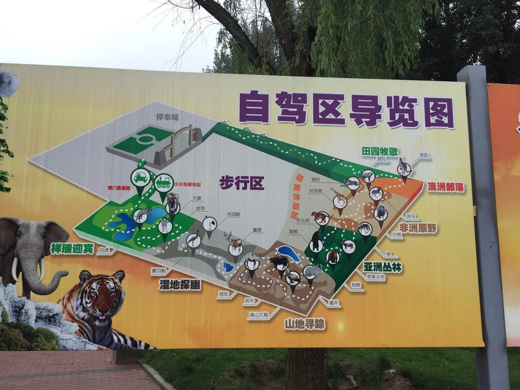 北京野生动物园                            