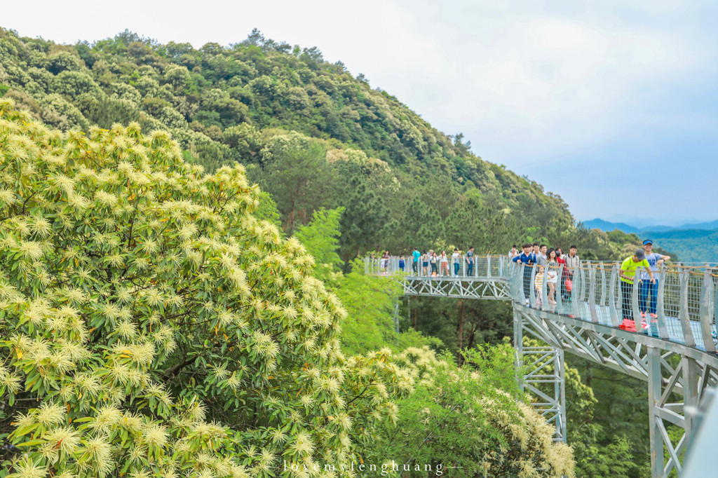 挑战高空玻璃栈道 乘坐直梯到达山顶,一览众山小,俯瞰芸芸众生,露天