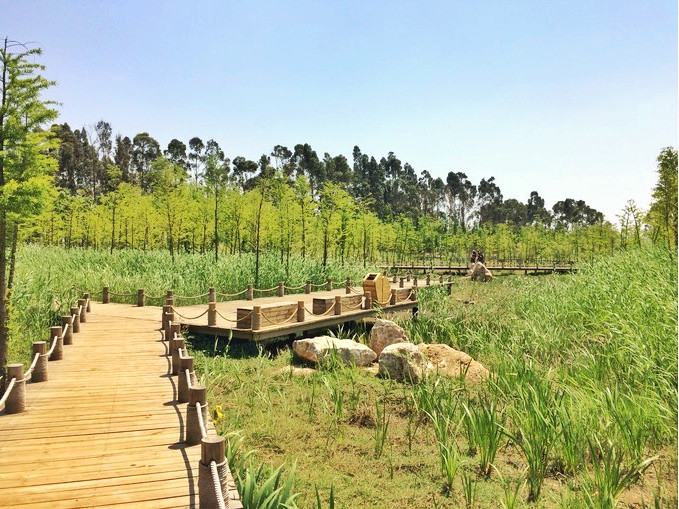 大自然的氧吧,不容错过的美景——昆明大东河湿地公园
