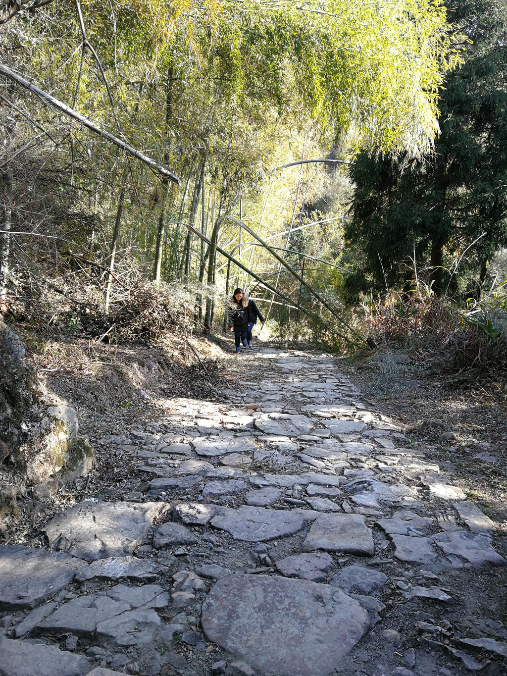 浙江省衢州市龙游县江山市开化县自驾4日游游记
