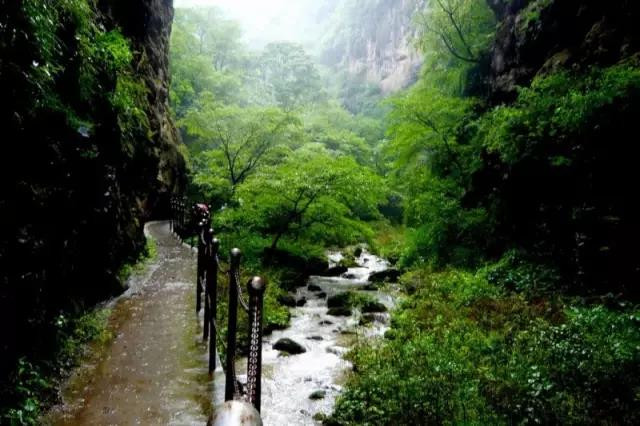 漳县有一山,风景如绣,皓月如银.   水洗贵清山,苍松翠石间.