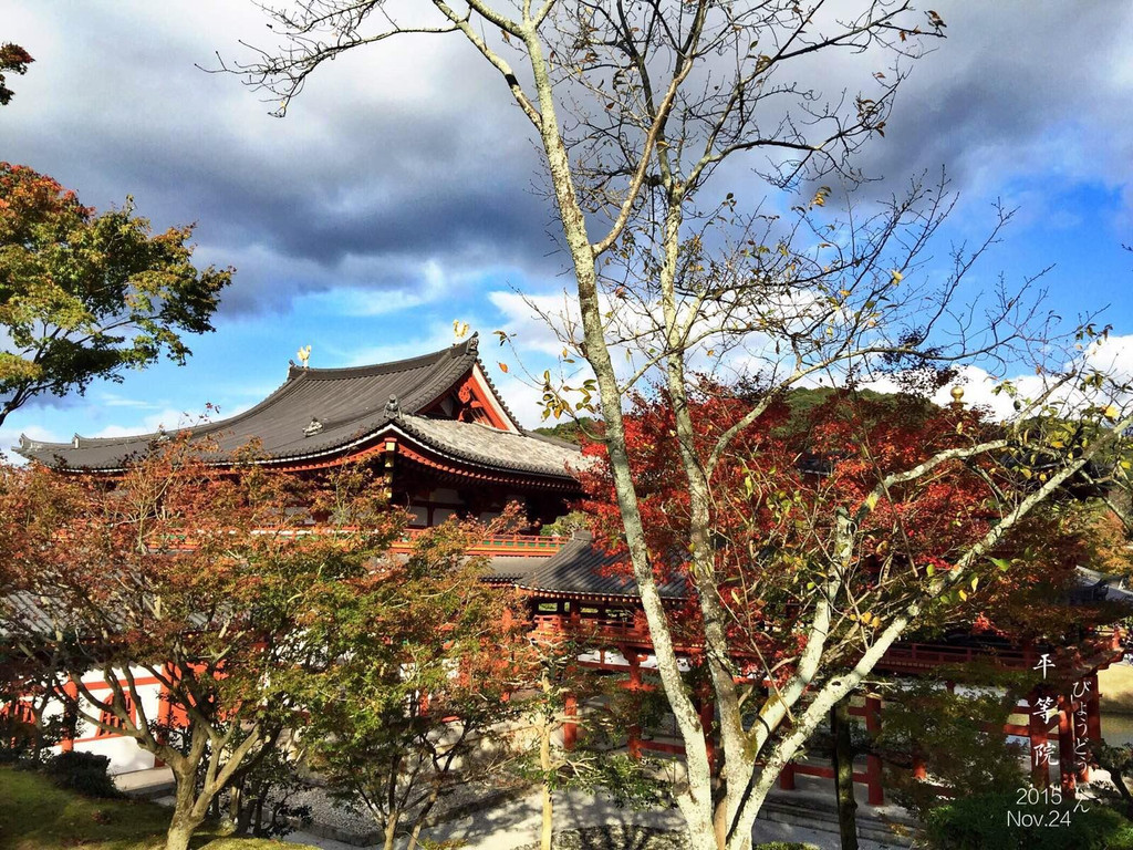 京都の游玩与日常(上)