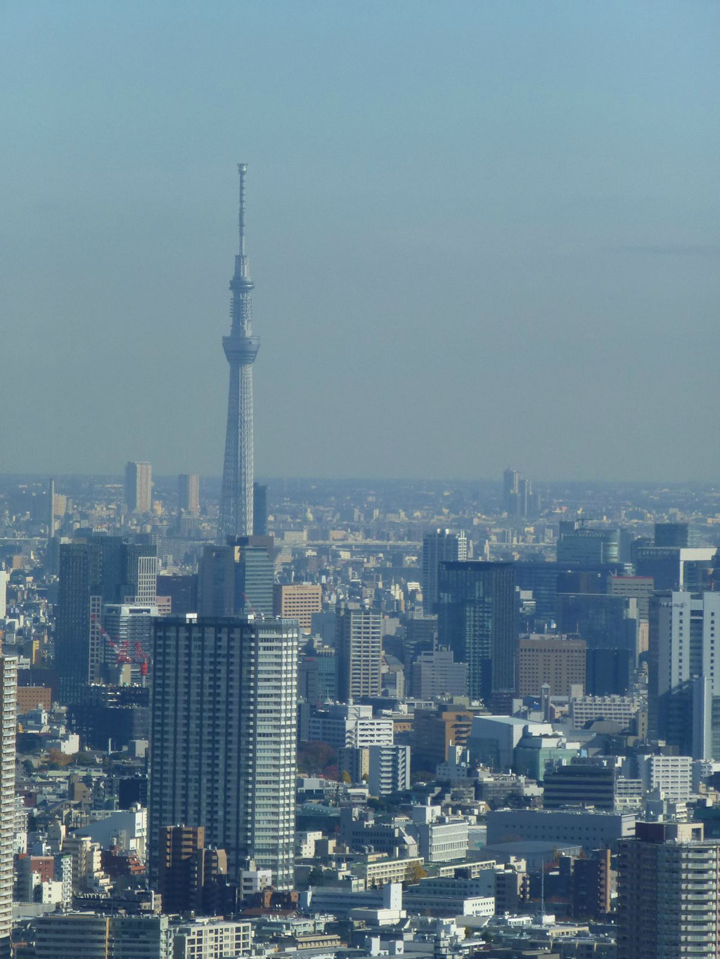 东京都厅展望台