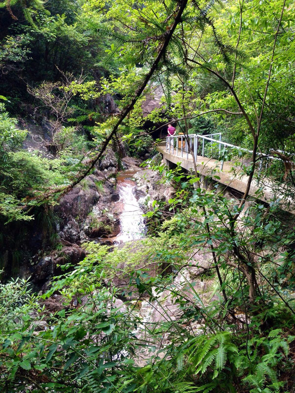 花岩国家森林公园游记