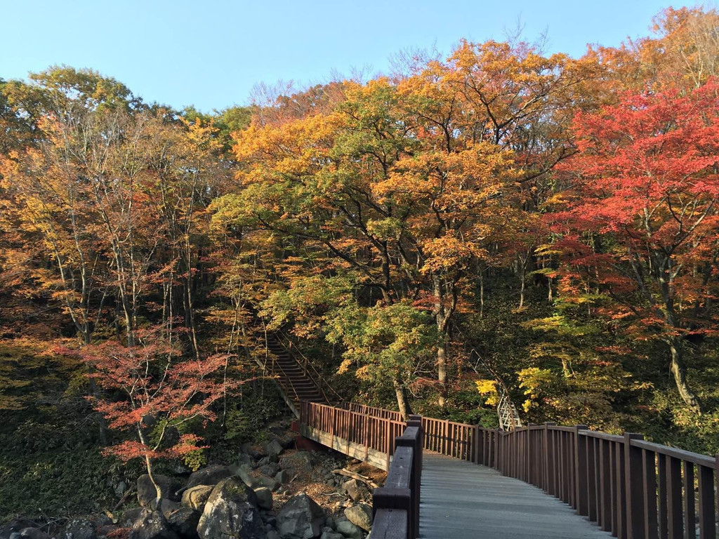 汉拿山国立公园                            