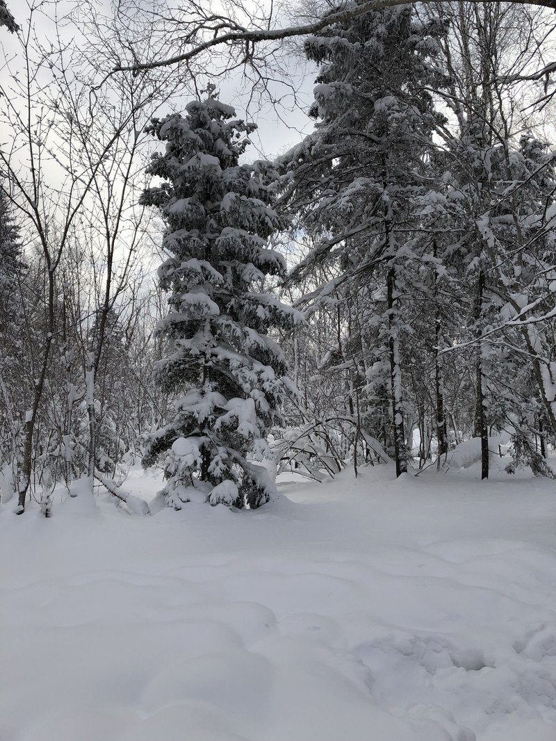 你想不想堆个雪人简谱_宝宝幼儿园 你想不想堆个雪人