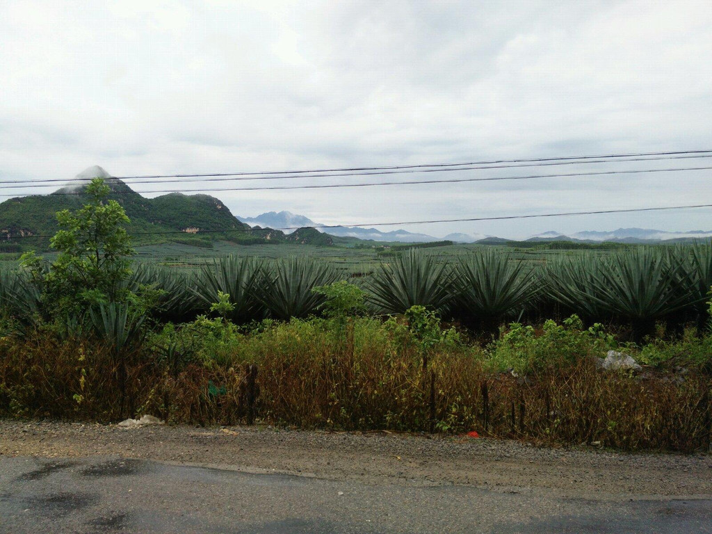 个人觉得从马山到南宁只走国道好一些,虽然我们走了马山→林圩→府城