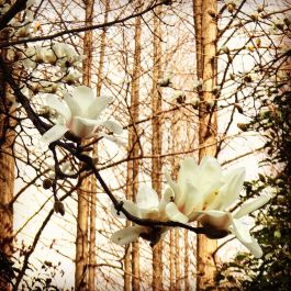 【携程攻略】中共二大会址纪念馆景点,上海中