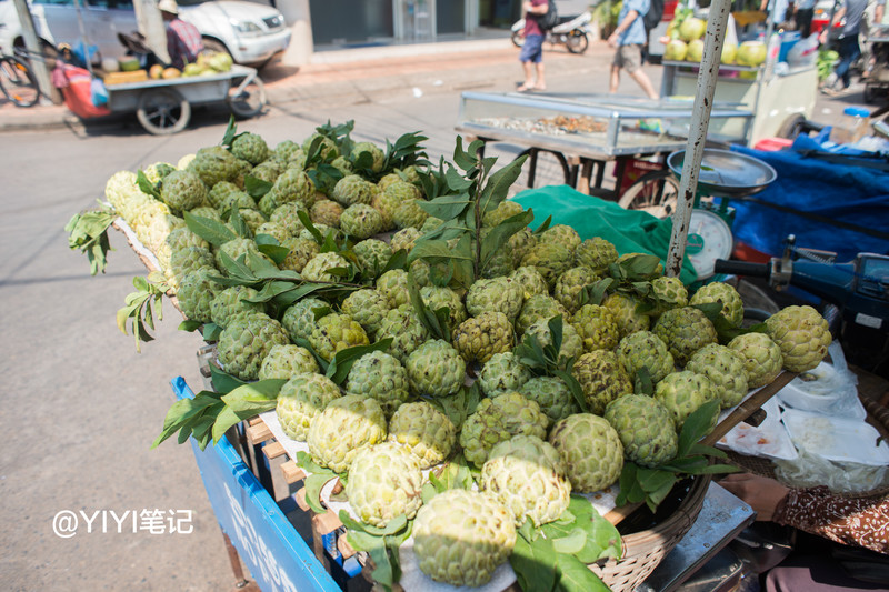 南亚过一个温暖的冬天--越南、柬埔寨、老挝三