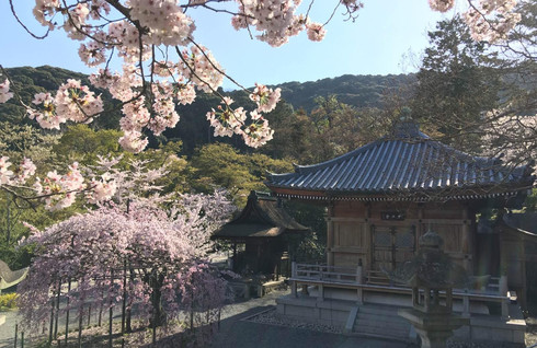 京都清水寺