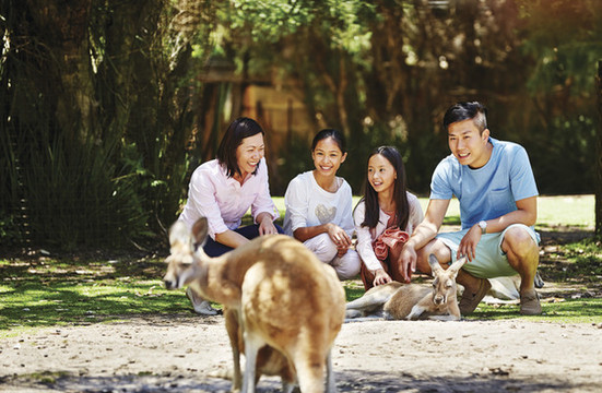 凯维森野生动物园