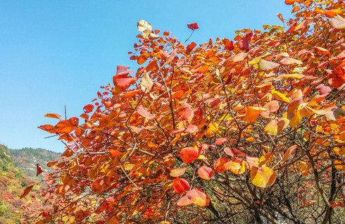 陽泉市平定縣岔口鄉主鋪掌村紅巖嶺自然風景區玉皇洞半日遊