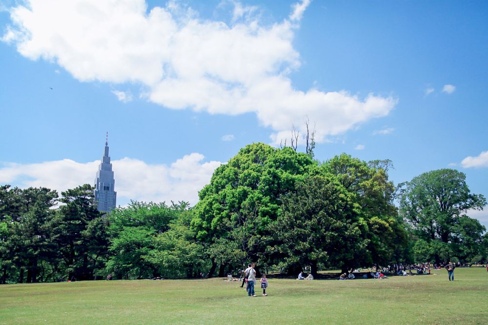 日本东京代代木公园明治神宫新宿御苑表参道原宿包车一日游东京市区
