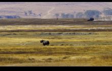 乌干达可以落地签吗?